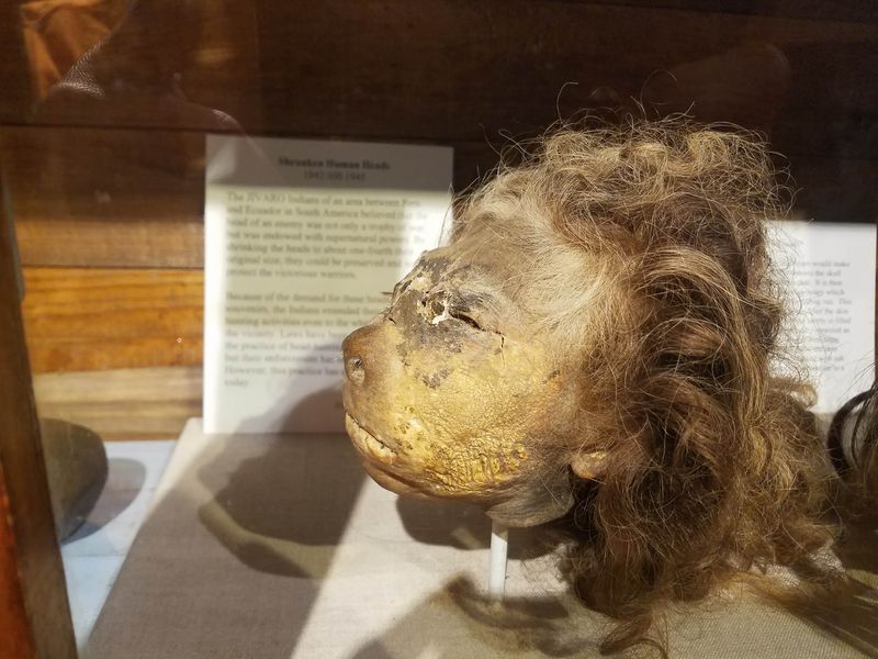 Shrunken Heads and Other Unexpected Wonders Shrunken Heads and Other Unexpected Wonders