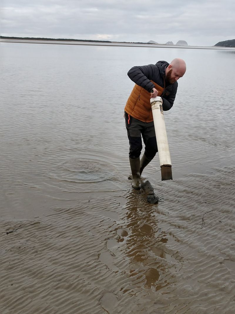 Shucking Your Own Oysters Straight From the Water