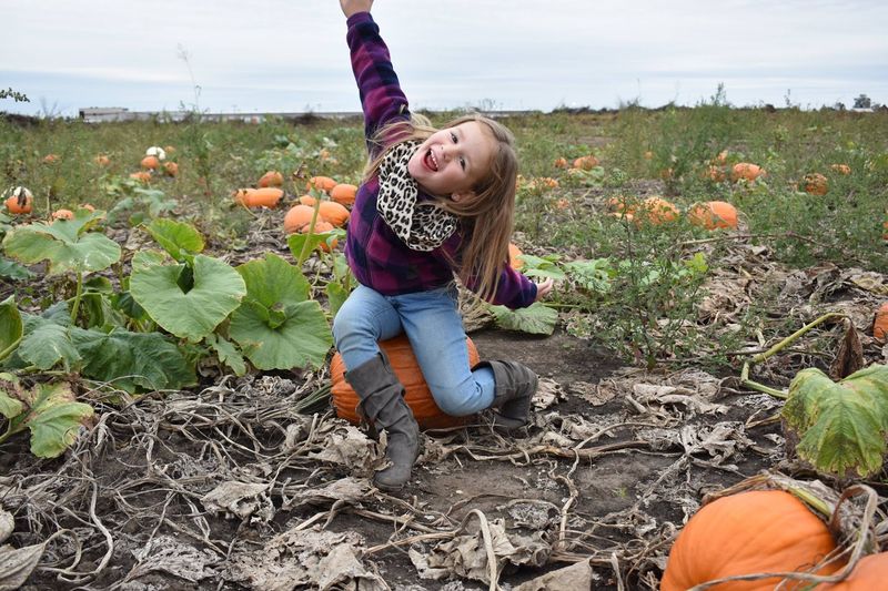 Siegel's Cottonwood Farm, Crest Hill, IL Siegel's Cottonwood Farm, Crest Hill, IL