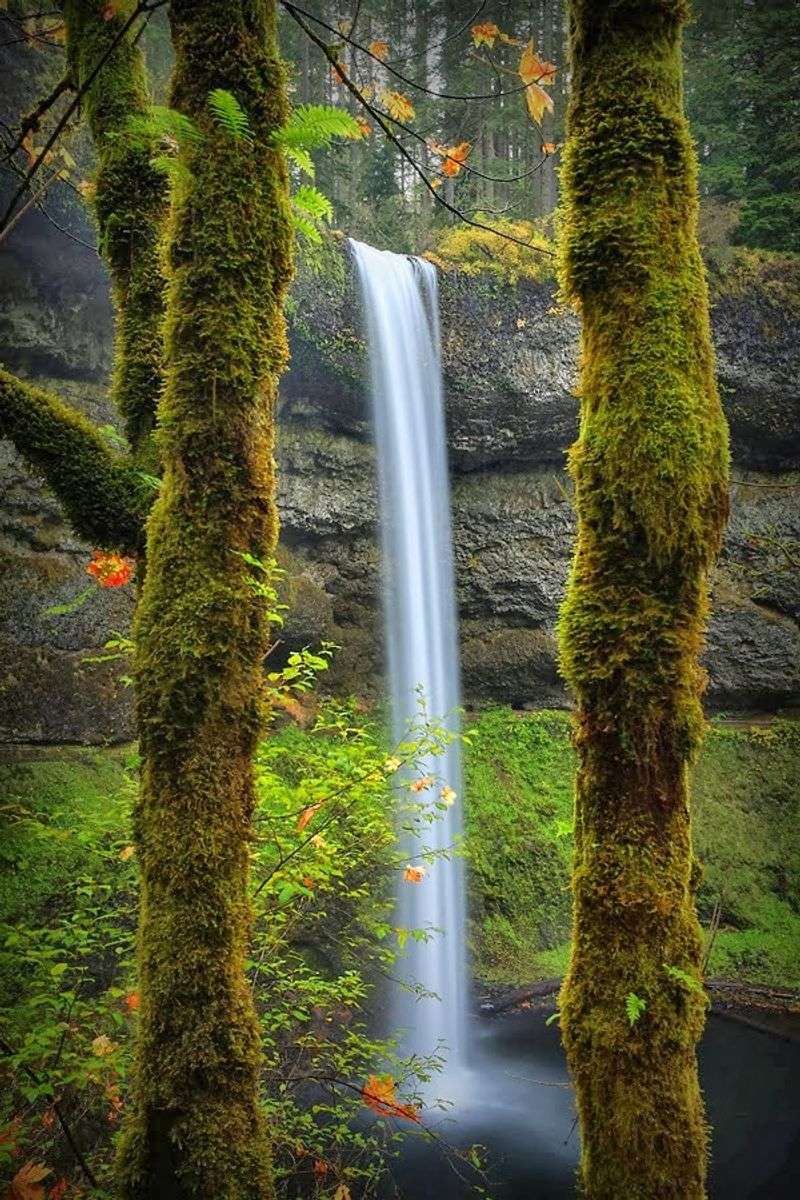 Silver Falls State Park Silver Falls State Park