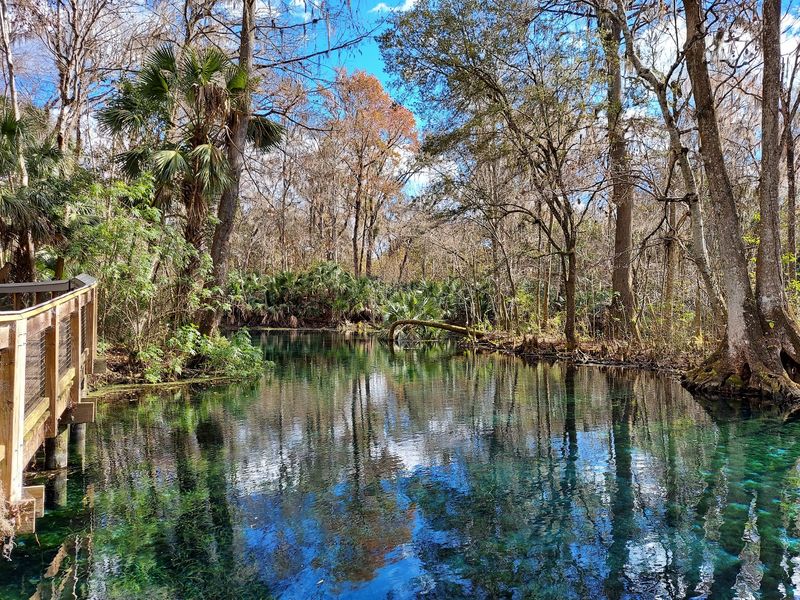 Silver Springs State Park Campground, Silver Springs, FL Silver Springs State Park Campground, Silver Springs, FL