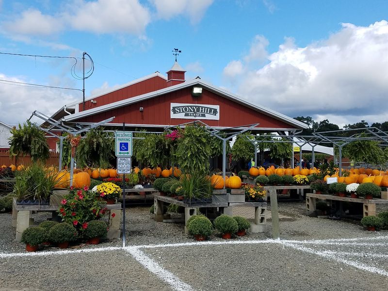 Simple Facilities and Farm-Day Realities Simple Facilities and Farm-Day Realities
