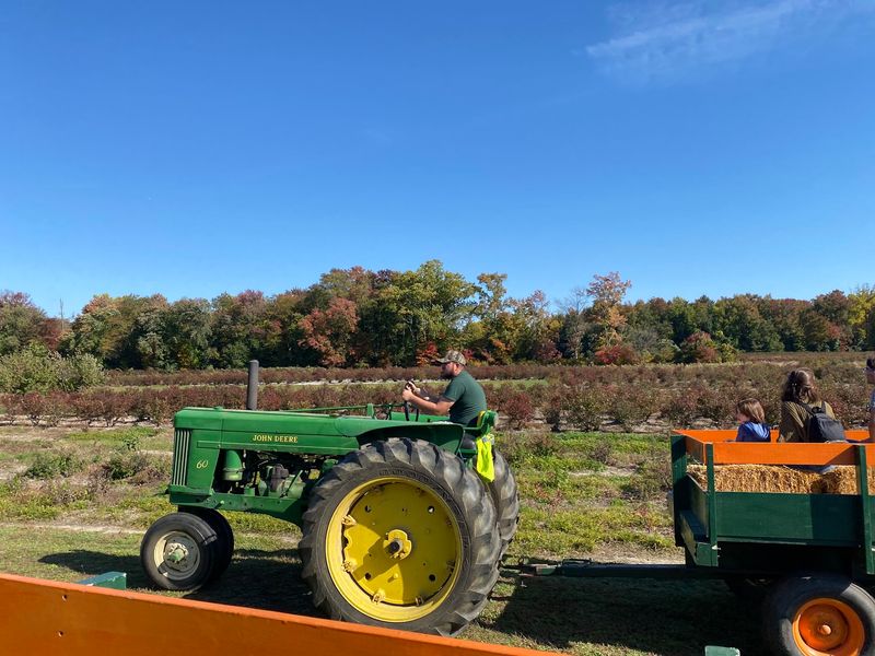 Simple Fall Farm Activities