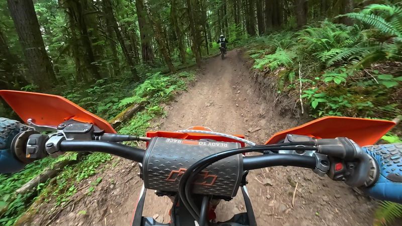 Single Track And Logging Roads For Every Style Single Track And Logging Roads For Every Style