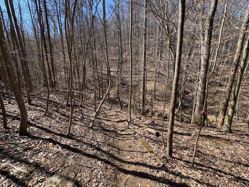 Single Track That Draws Dirt Bikers