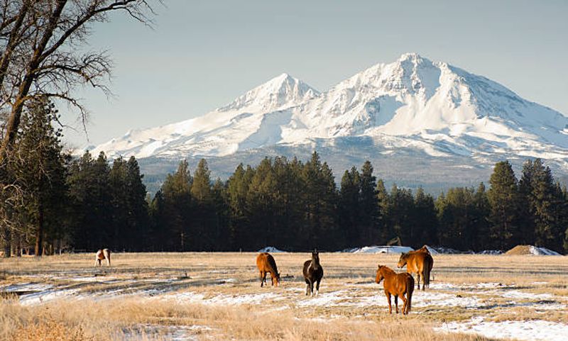 Sisters, Oregon, Sisters Sisters, Oregon, Sisters
