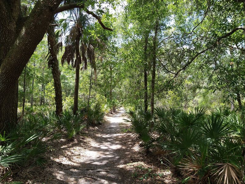 Sixty Miles of Trails for Every Kind of Walker Sixty Miles of Trails for Every Kind of Walker