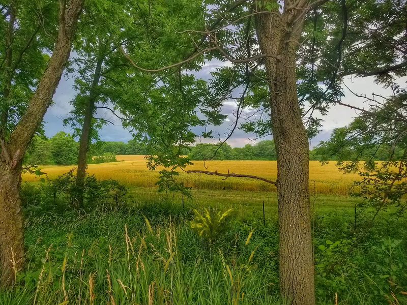 Small Towns, Farmland, and Wildlife Along the Route Small Towns, Farmland, and Wildlife Along the Route