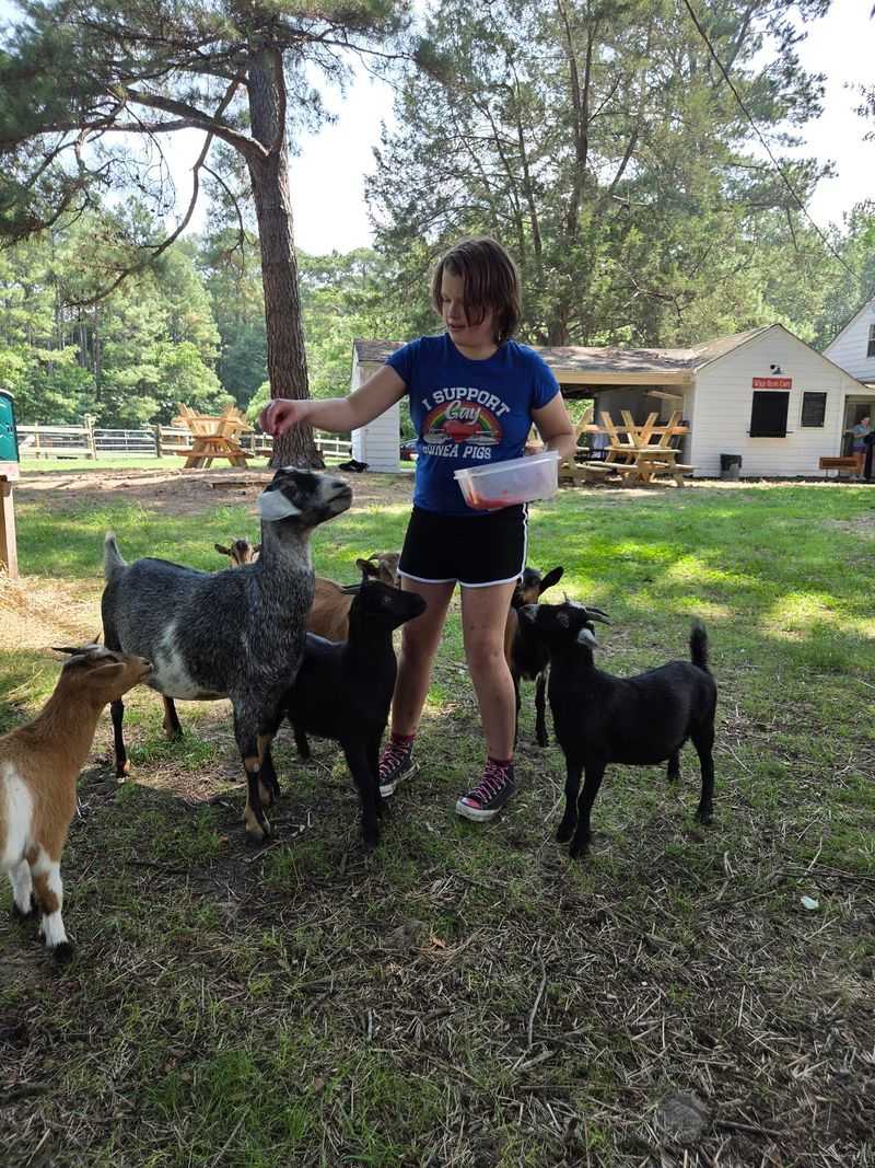 Smith Farm Goat Sanctuary, Fuquay-Varina, NC Smith Farm Goat Sanctuary, Fuquay-Varina, NC