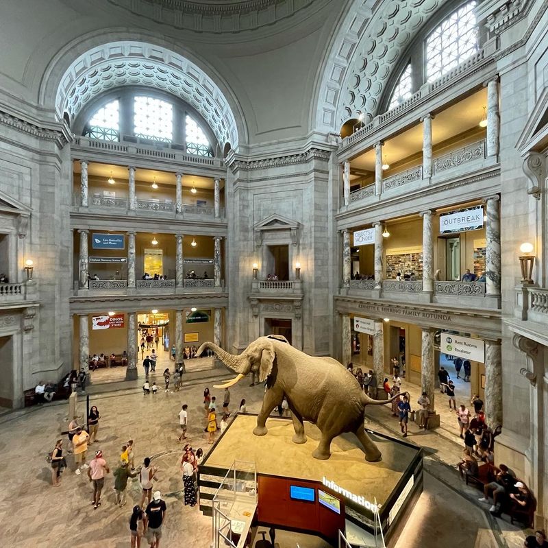 Smithsonian National Museum of Natural History, Washington, D.C. Smithsonian National Museum of Natural History, Washington, D.C.