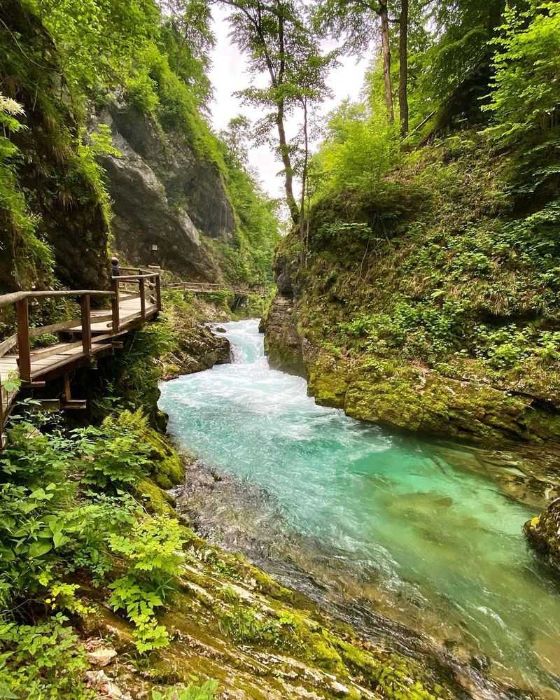 Soteska Vintgar