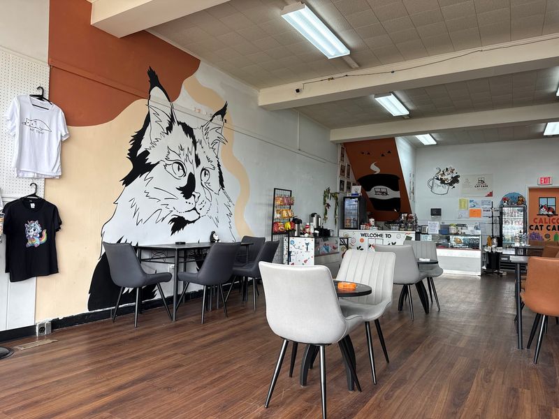 South Jersey’s First Cat Café Identity South Jersey’s First Cat Café Identity