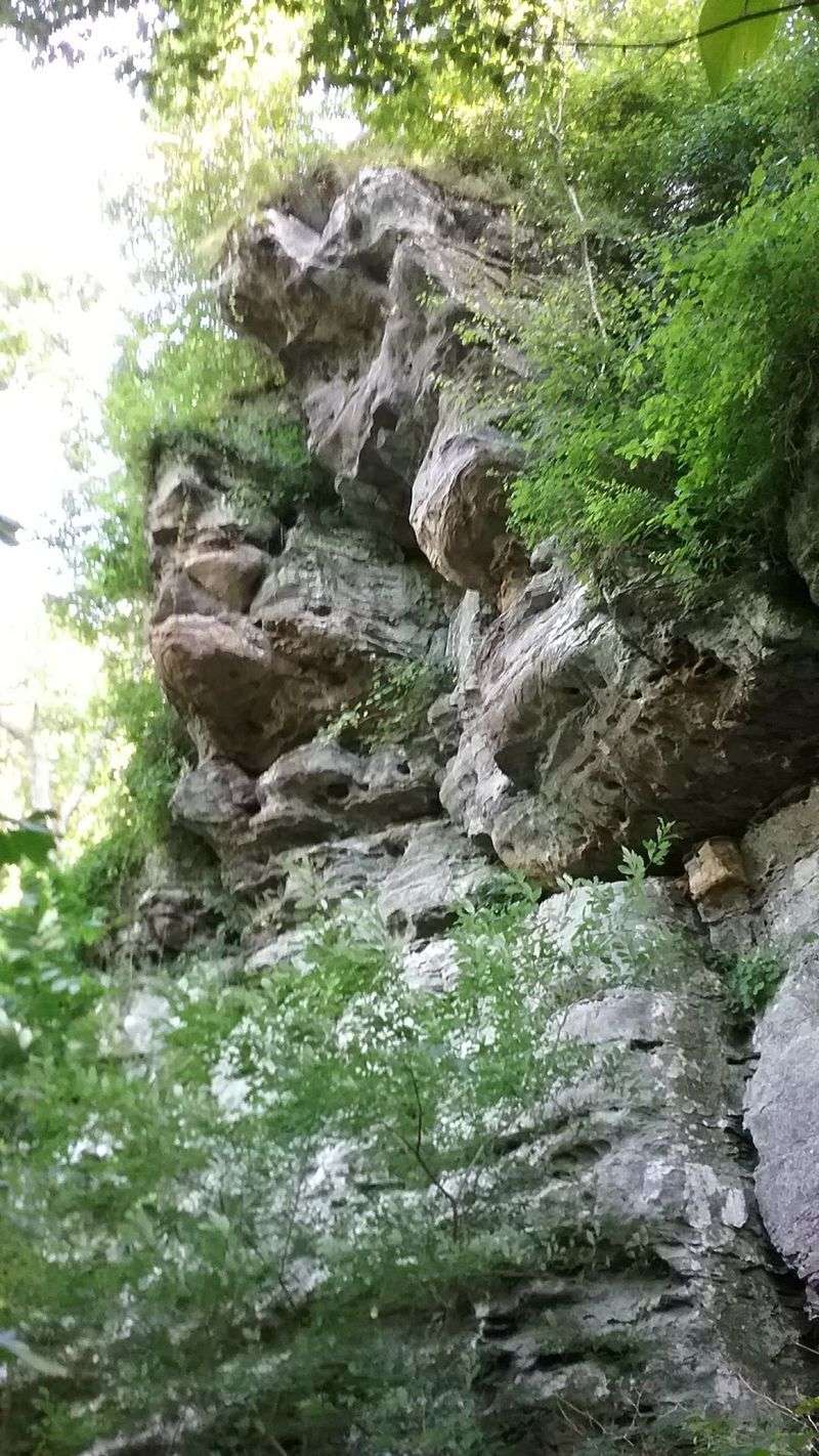 Southern Illinois Hill Country Surrounding the Village Southern Illinois Hill Country Surrounding the Village