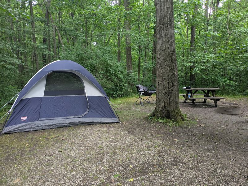 Spacious Campgrounds Under the Trees Spacious Campgrounds Under the Trees