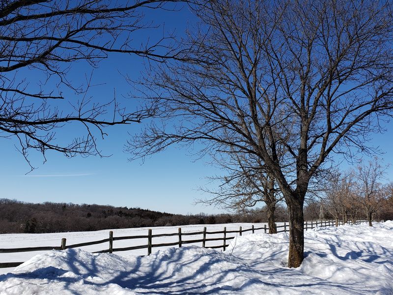 Special Events and Seasonal Programs: Something New Every Time You Visit Special Events and Seasonal Programs: Something New Every Time You Visit