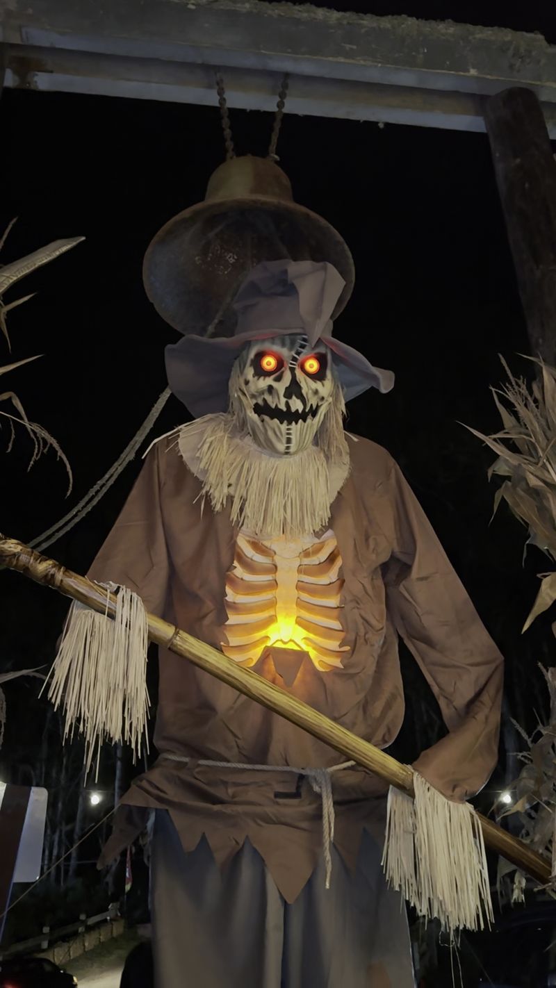 Spooky Thrills in the Haunted House Spooky Thrills in the Haunted House