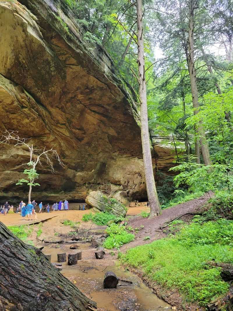 Spring and Post-Rain Visits vs. Dry Season Spring and Post-Rain Visits vs. Dry Season