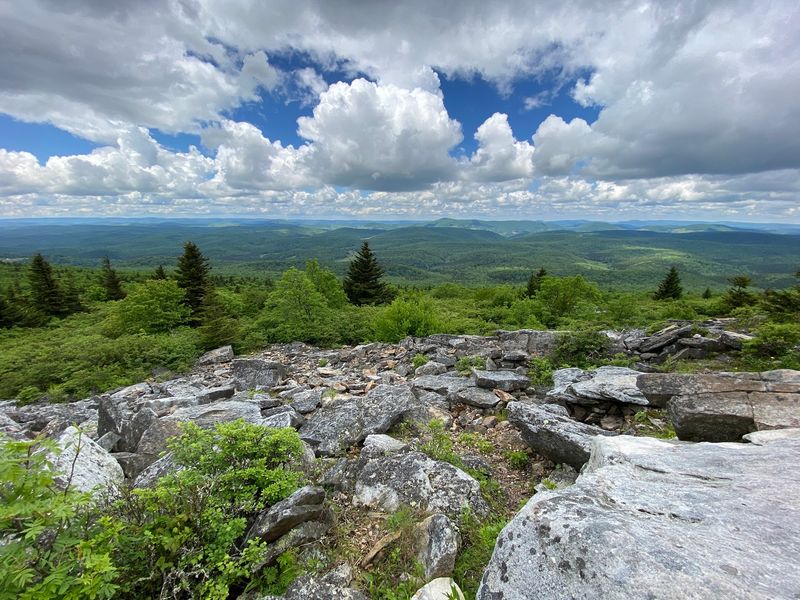 Spruce Knob, Riverton, West Virginia Spruce Knob, Riverton, West Virginia