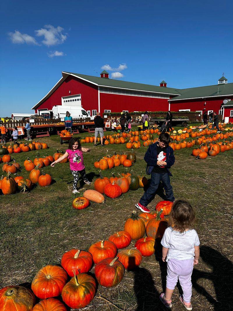 Stade's Farm and Market in McHenry Stade's Farm and Market in McHenry