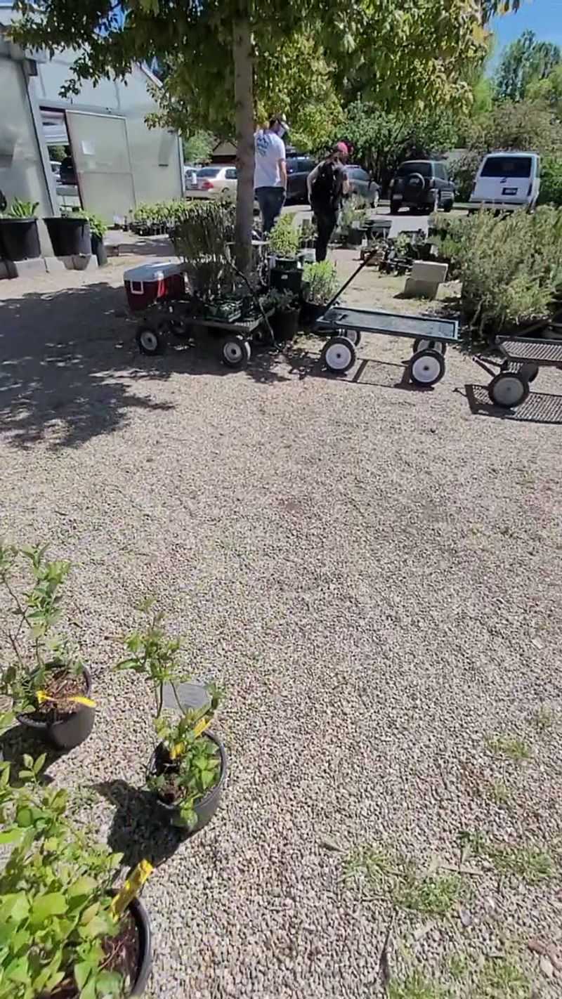 Staff Who Actually Know Their Plants