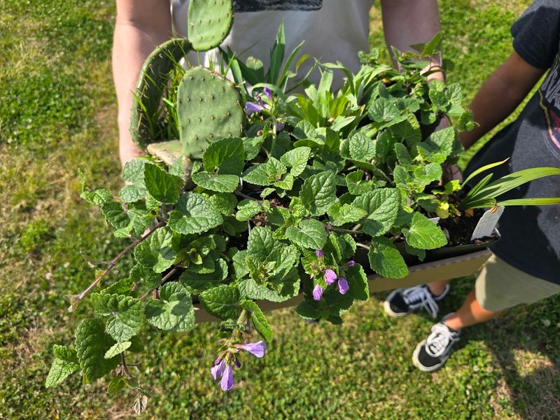 Staff Who Actually Know Their Plants Staff Who Actually Know Their Plants