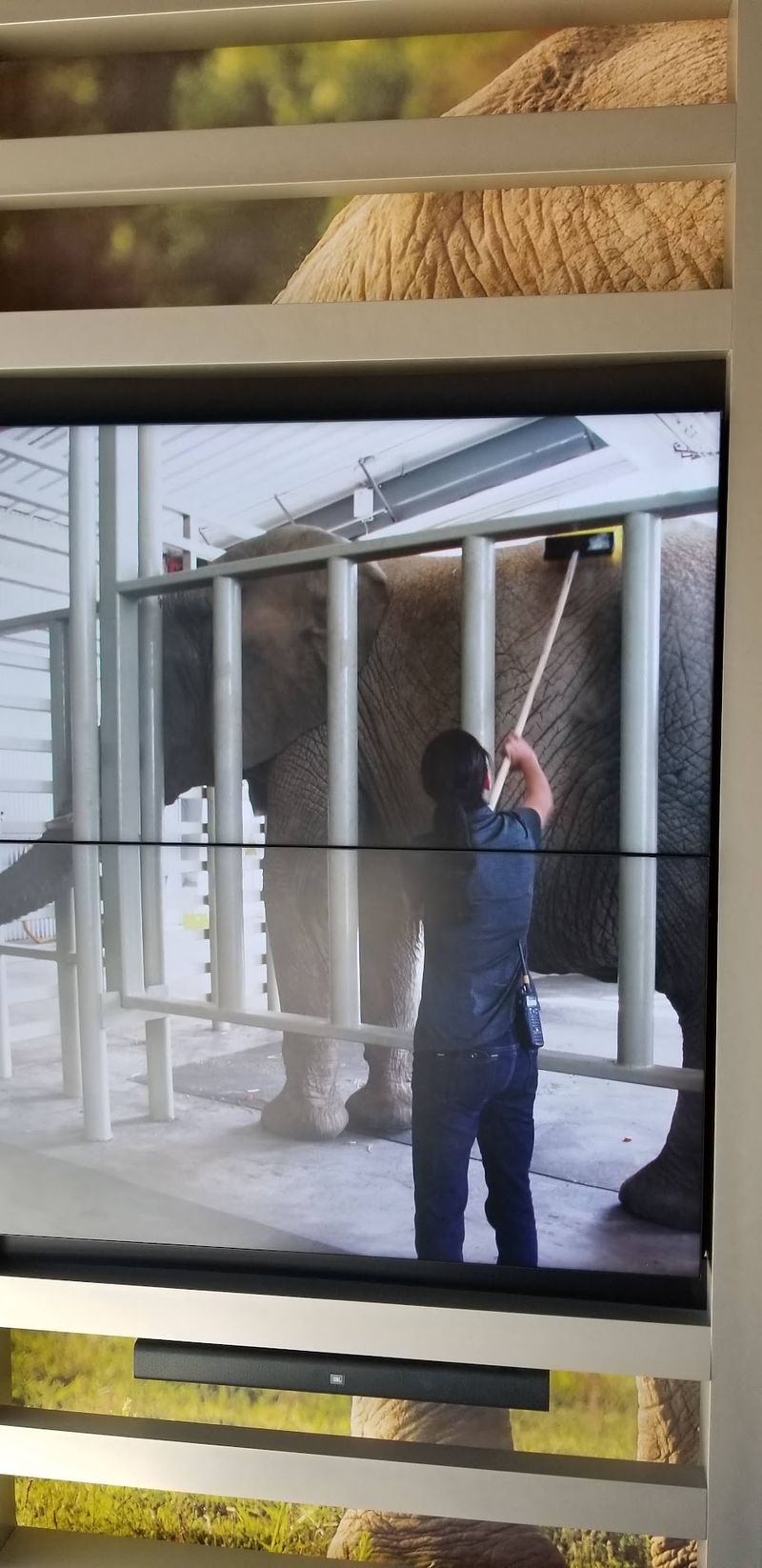 Staff Who Know Every Elephant by Name Staff Who Know Every Elephant by Name