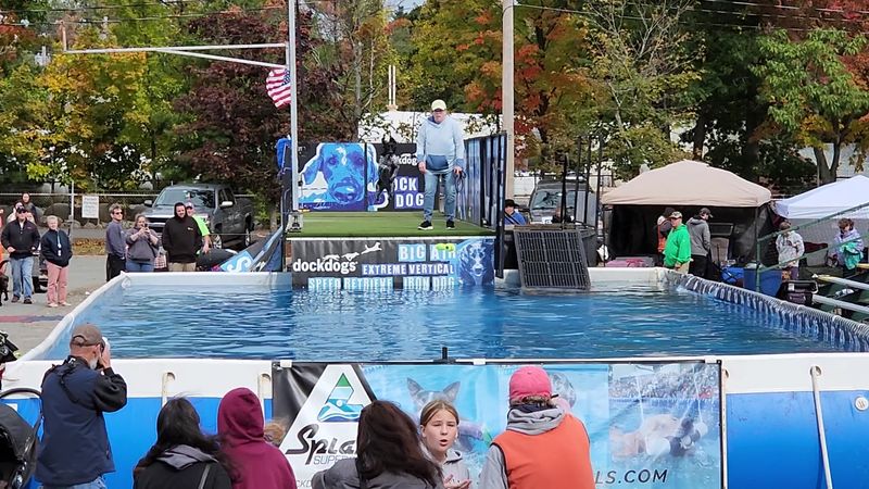 Stage Shows and Surprise Demos