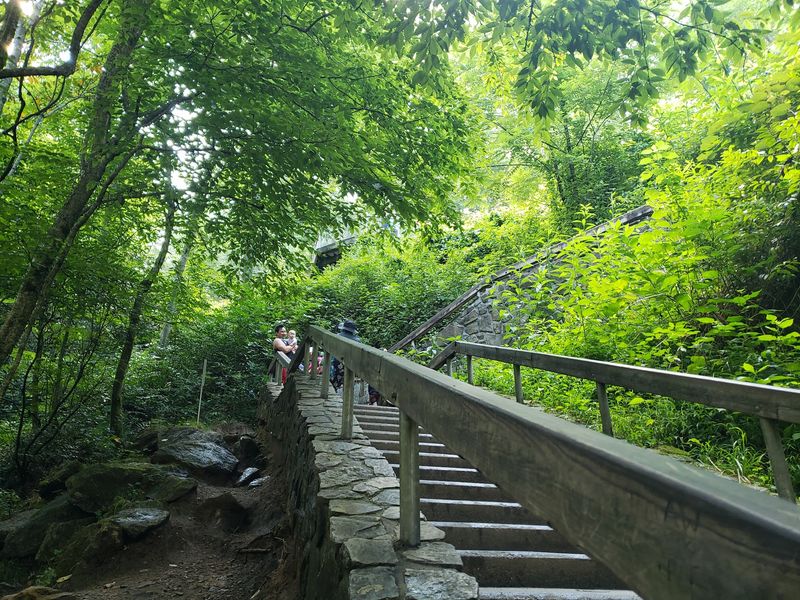 Stairs That Lead You Down to the Base