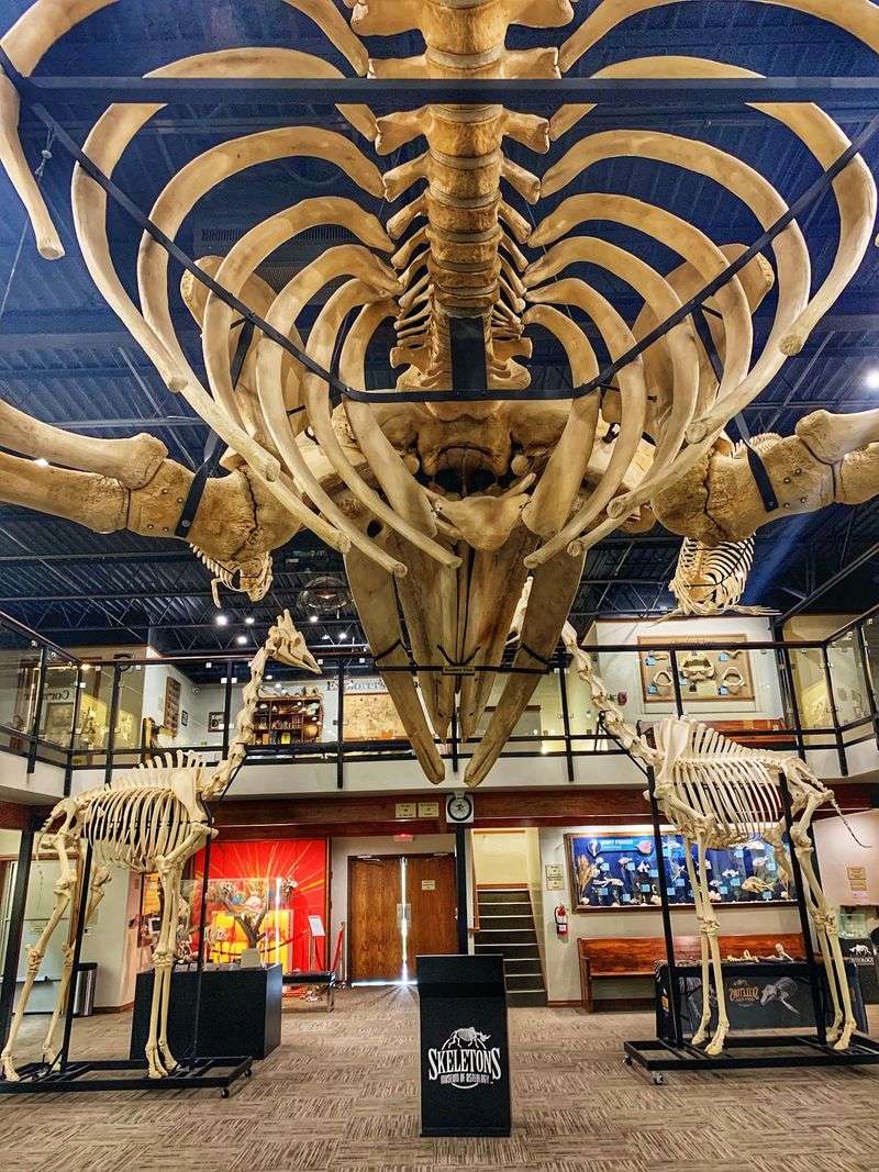 Standout Specimens That Stop Visitors Cold Standout Specimens That Stop Visitors Cold