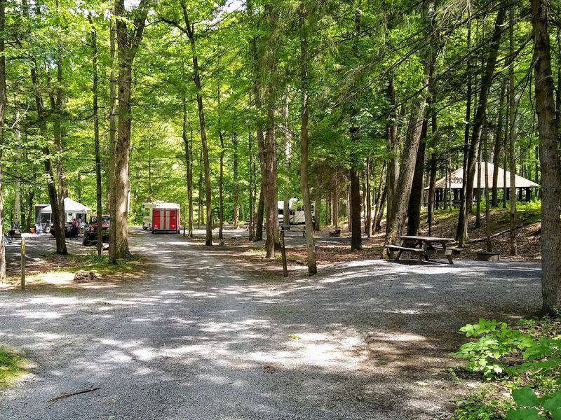 State Parks Tucked Inside the Forest: Hidden Recreational Pockets