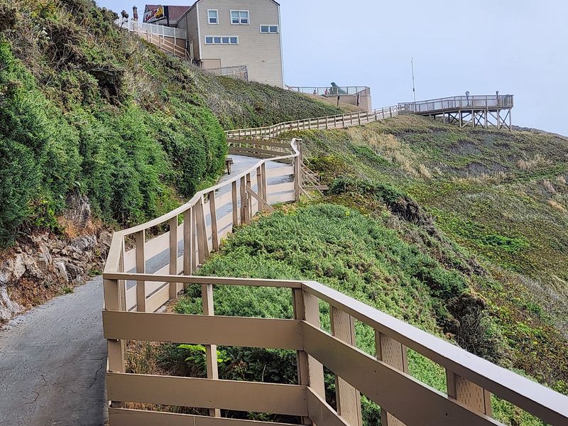 Steep Paths and a Whiff You Won't Forget