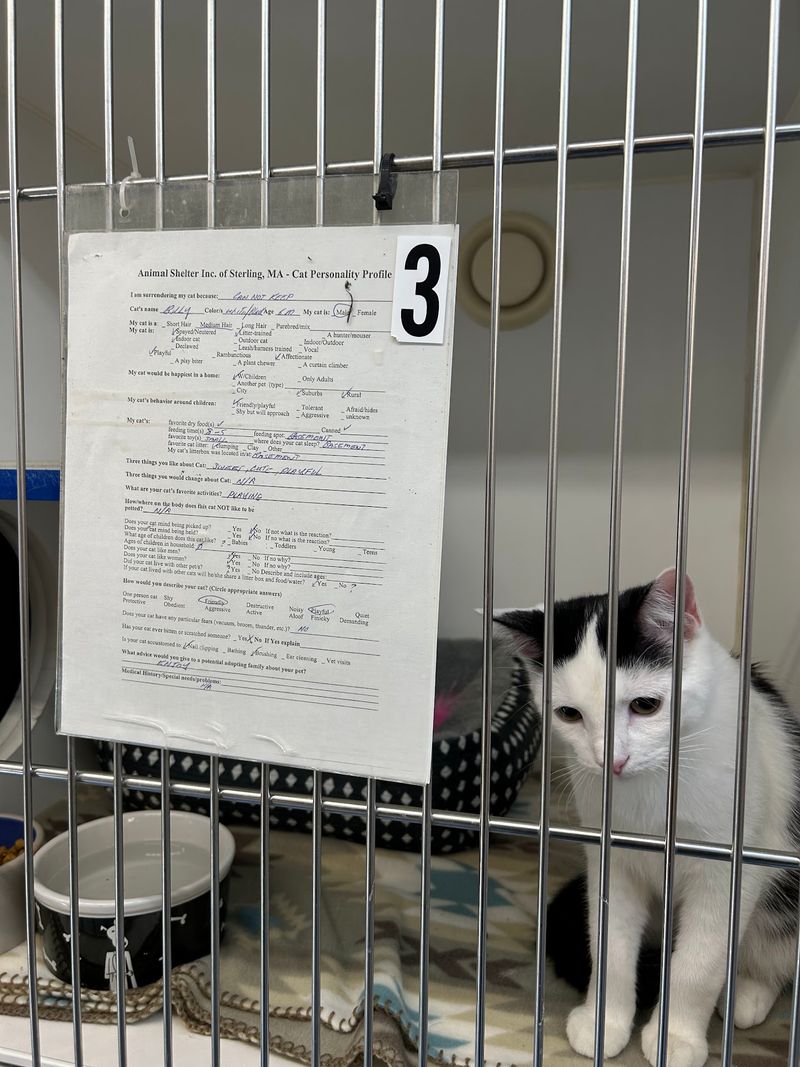 Sterling Animal Shelter, Sterling, MA Sterling Animal Shelter, Sterling, MA