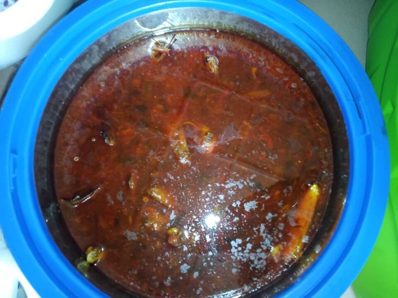 Stews and Soups Stews and Soups