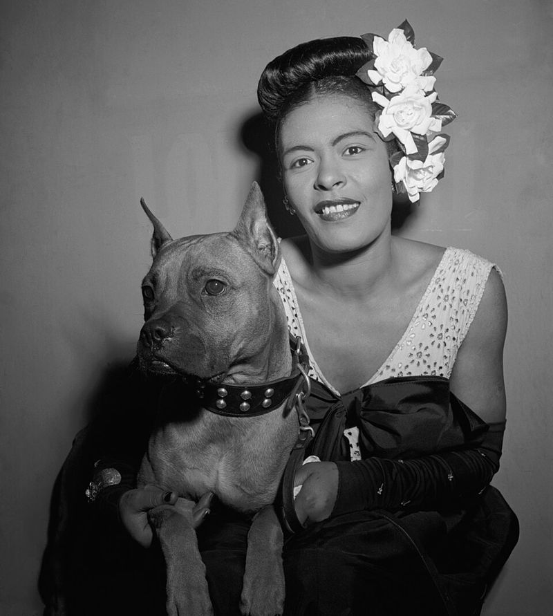 Strange Fruit, Billie Holiday