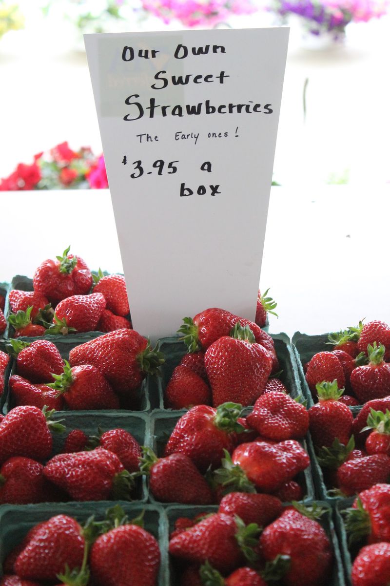 Strawberries That Taste Like a Childhood Memory Strawberries That Taste Like a Childhood Memory