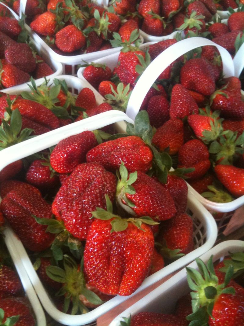 Strawberries Worth Guarding Strawberries Worth Guarding