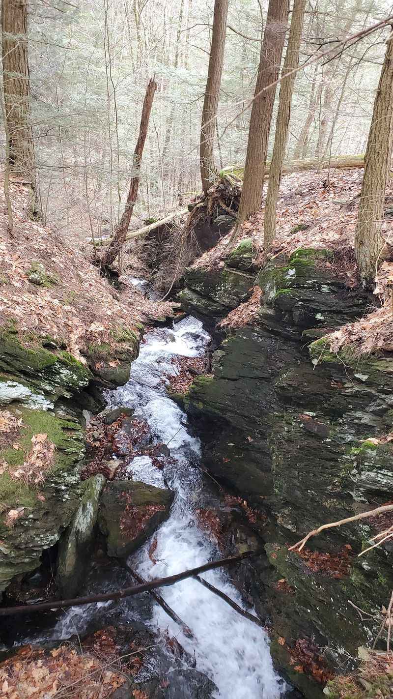 Streams That Thread Through the Woods Streams That Thread Through the Woods