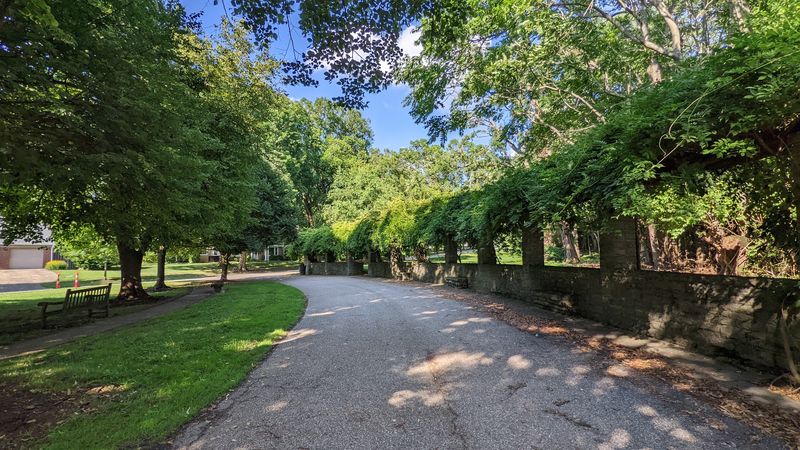 Streets Designed for Wandering, Not Just Driving