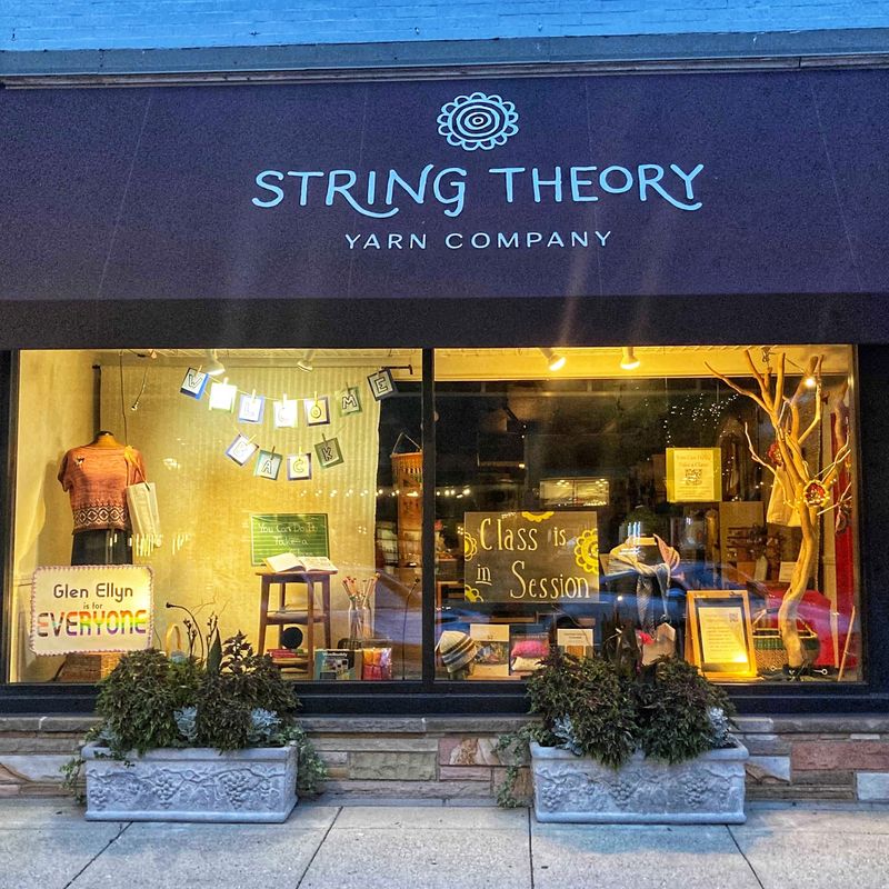 String Theory Yarn Co, Glen Ellyn, IL
