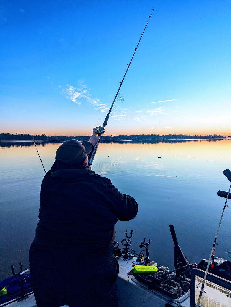 Striper Fishing That Reels In Fans