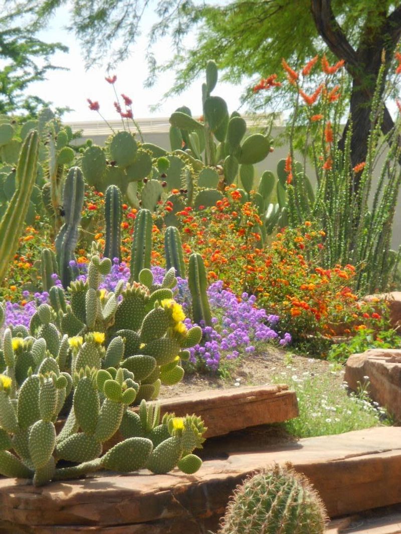 Strolling the Garden Paths