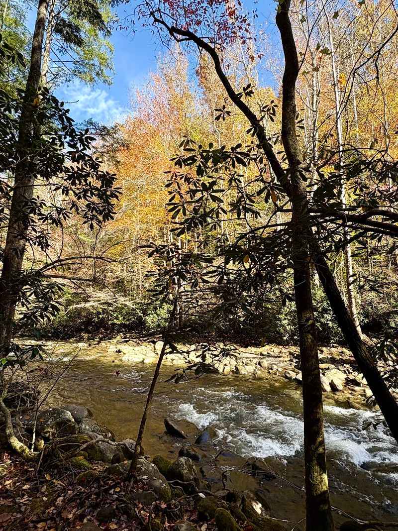 Sugarland Valley Nature Trail Head, Gatlinburg, TN Sugarland Valley Nature Trail Head, Gatlinburg, TN