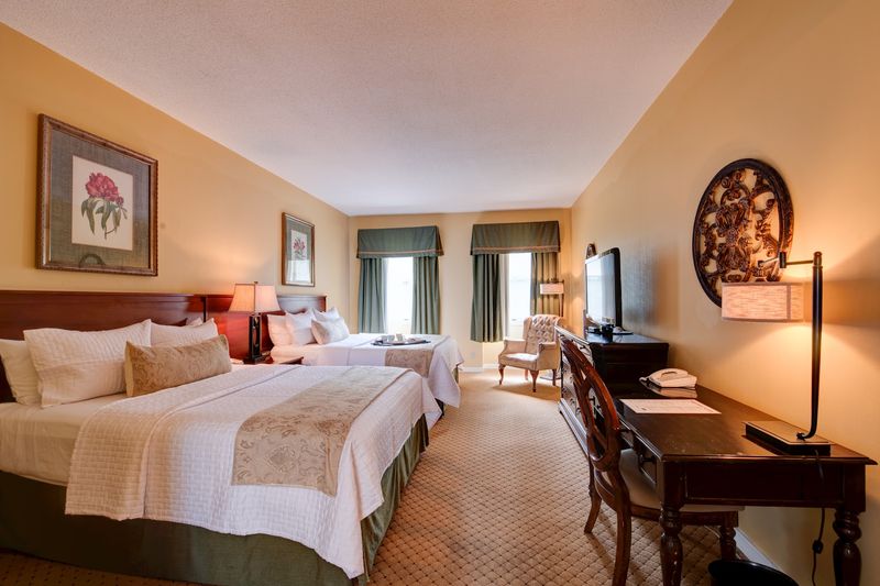 Suites With Space to Settle In Suites With Space to Settle In