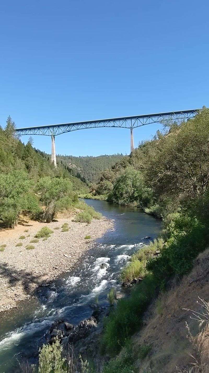 Summer Days Down by the River Summer Days Down by the River