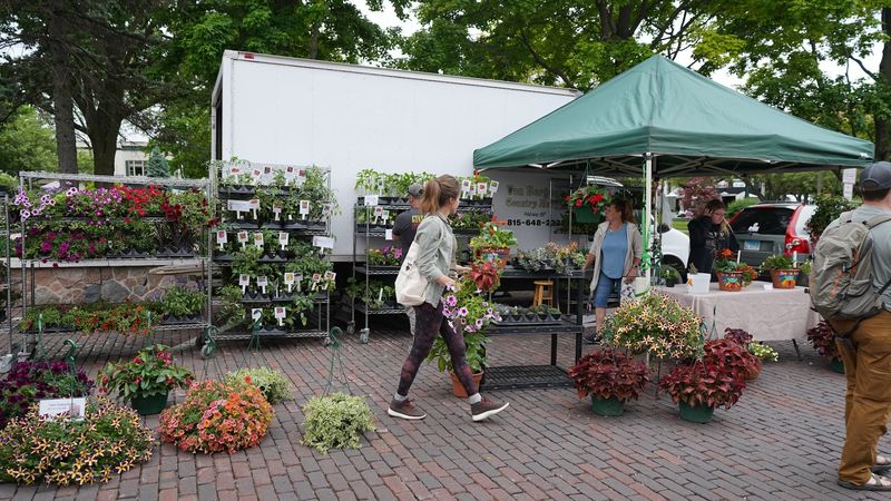 Summer Woodstock Farmers Market, Illinois, Woodstock Summer Woodstock Farmers Market, Illinois, Woodstock