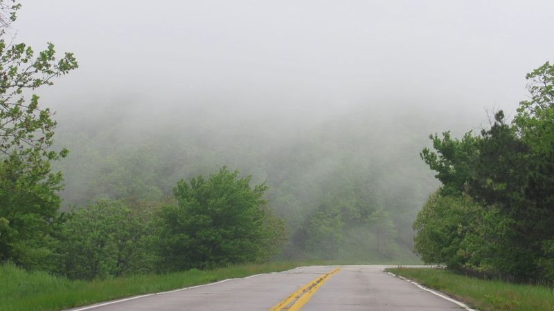 Summer and Spring on the Byway, Lush and Uncrowded Summer and Spring on the Byway, Lush and Uncrowded