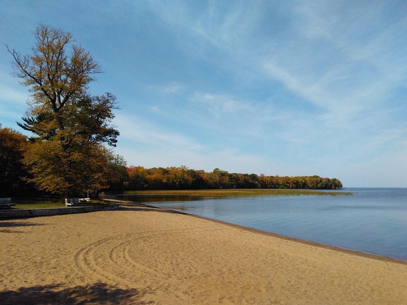 Summer on the Shoreline Summer on the Shoreline