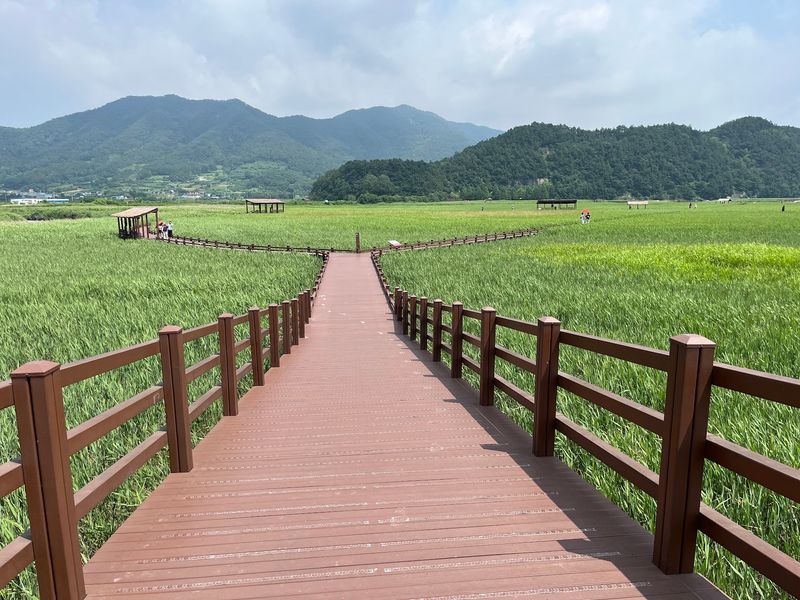 Suncheonman Bay Wetland, Suncheon, Jeollanam-do Suncheonman Bay Wetland, Suncheon, Jeollanam-do