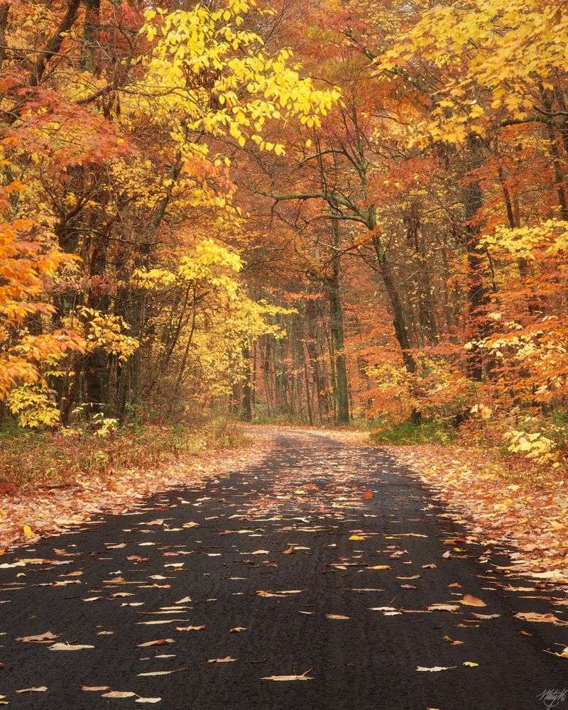 Sunrise Mountain Road And Autumn Color Runs Sunrise Mountain Road And Autumn Color Runs