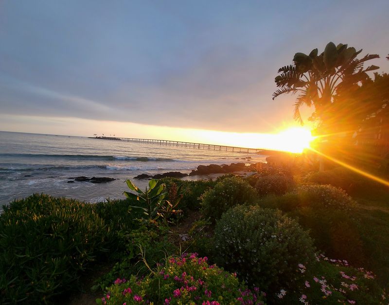 Sunsets That Steal the Show Sunsets That Steal the Show